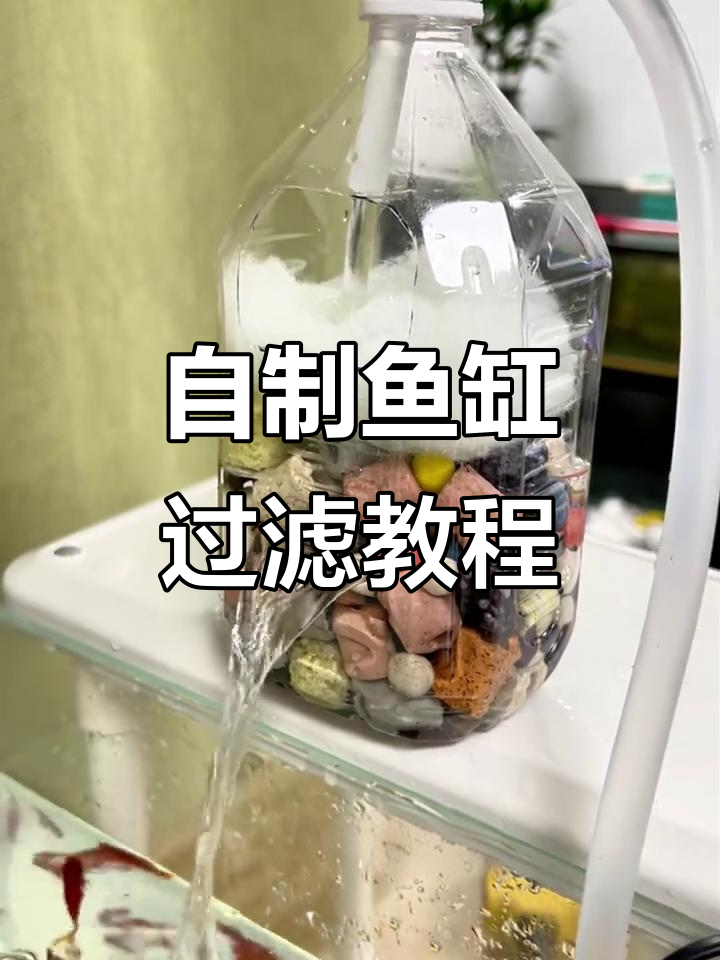 利用废饮料瓶DIY鱼缸过滤器,简单又实用