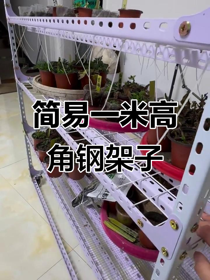一米角钢花架搭建技巧,简单又实用