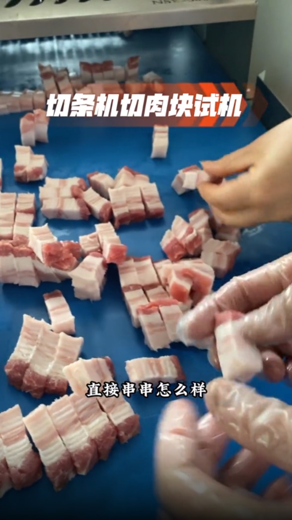 鲜肉切条切肉块机,五花肉切块烧烤肉串专用