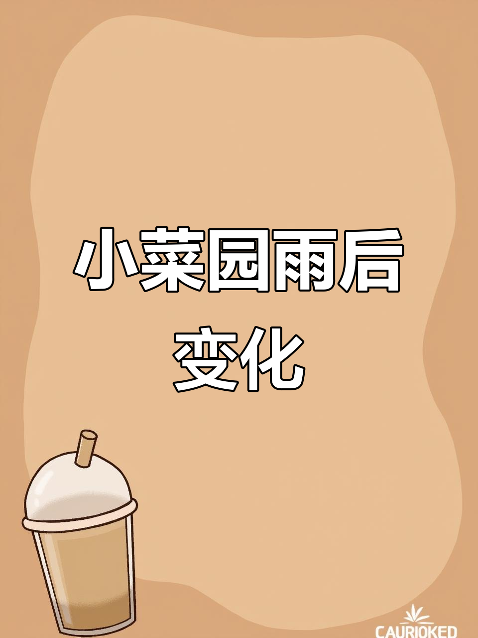 雨后小菜园大变样,胡萝卜绿油油的,辣椒也长势喜人