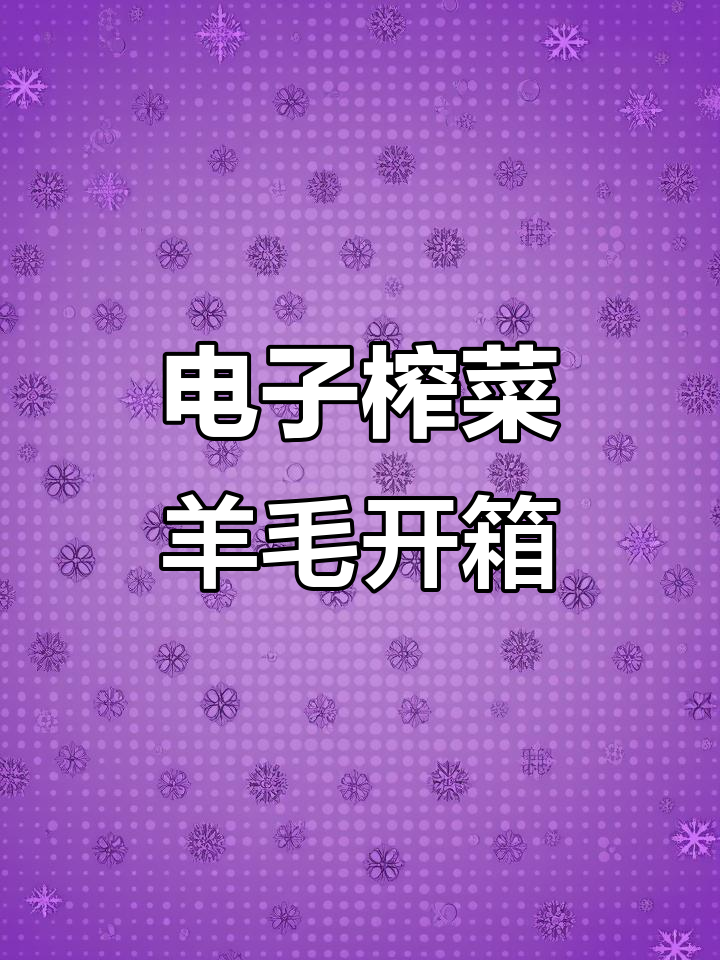80年代羊毛开箱,摸鱼体验电子榨菜