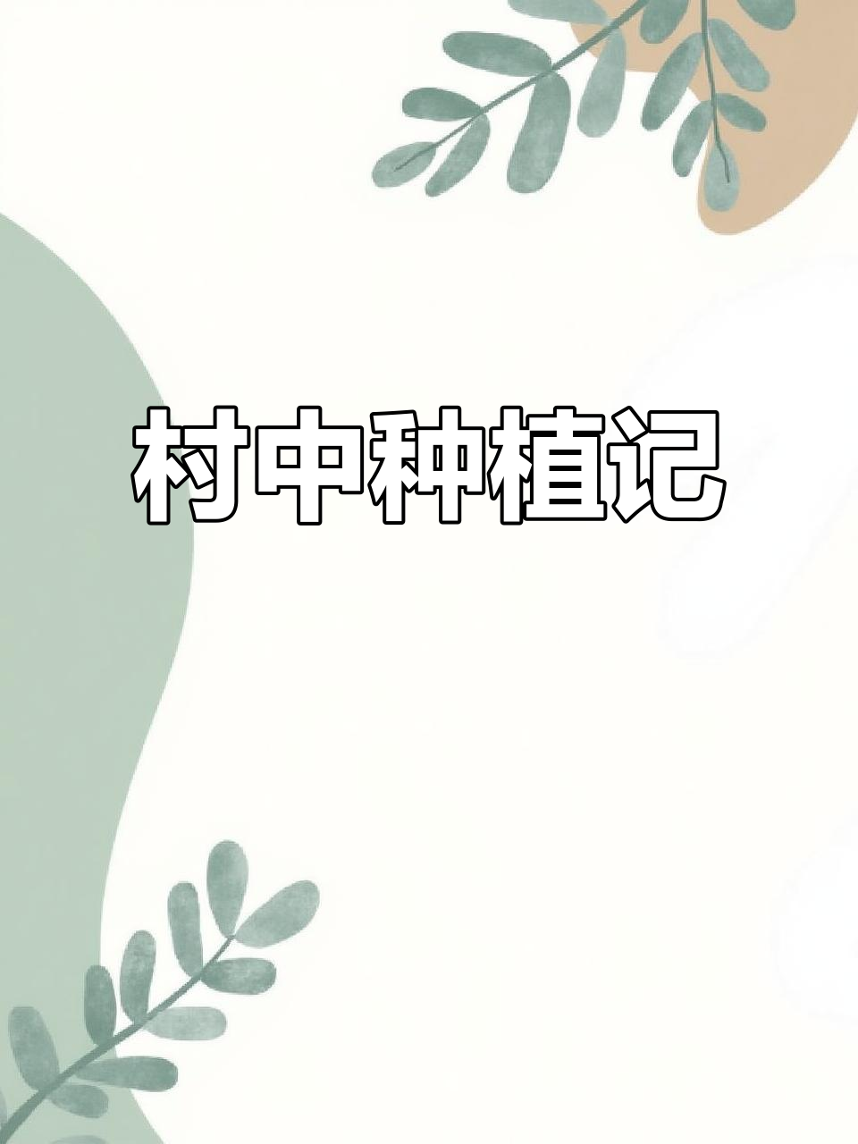 村里种贡菜,从播种到收获,全程记录!