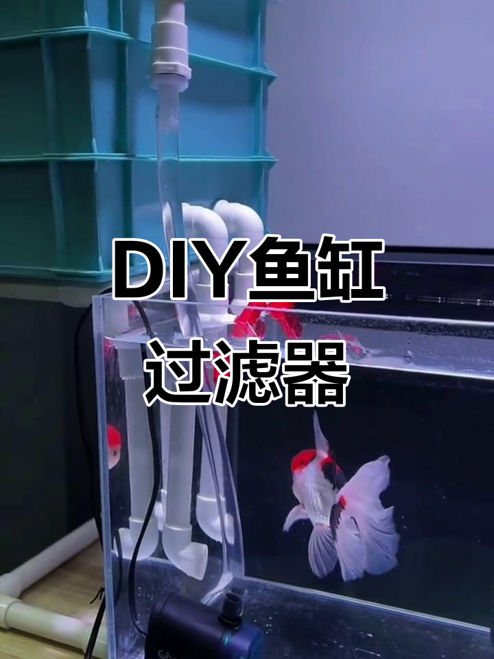 DIY鱼缸过滤器