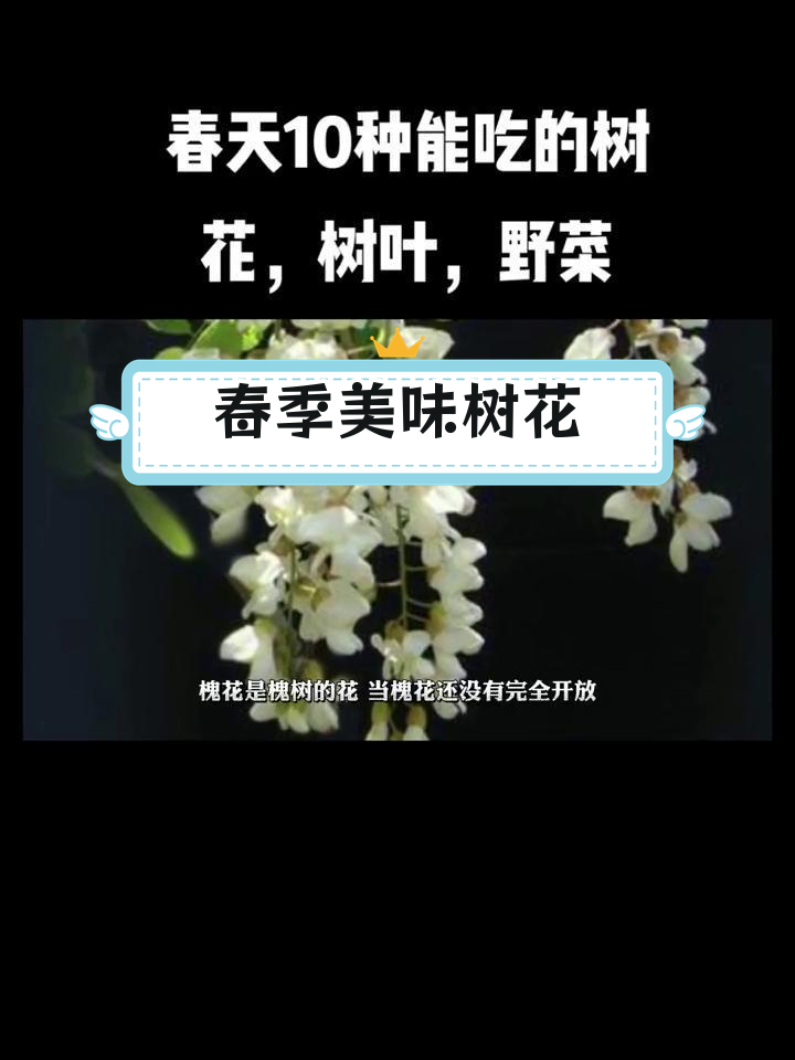 春天可食的10种树花与野菜