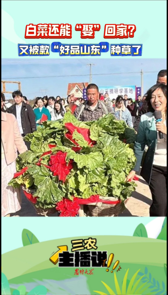 三农主播说|白菜还能“娶”回家?又被这款“好品山东”种草了