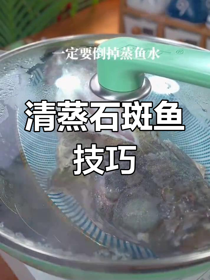 鲜美石斑鱼,清蒸做法大揭秘