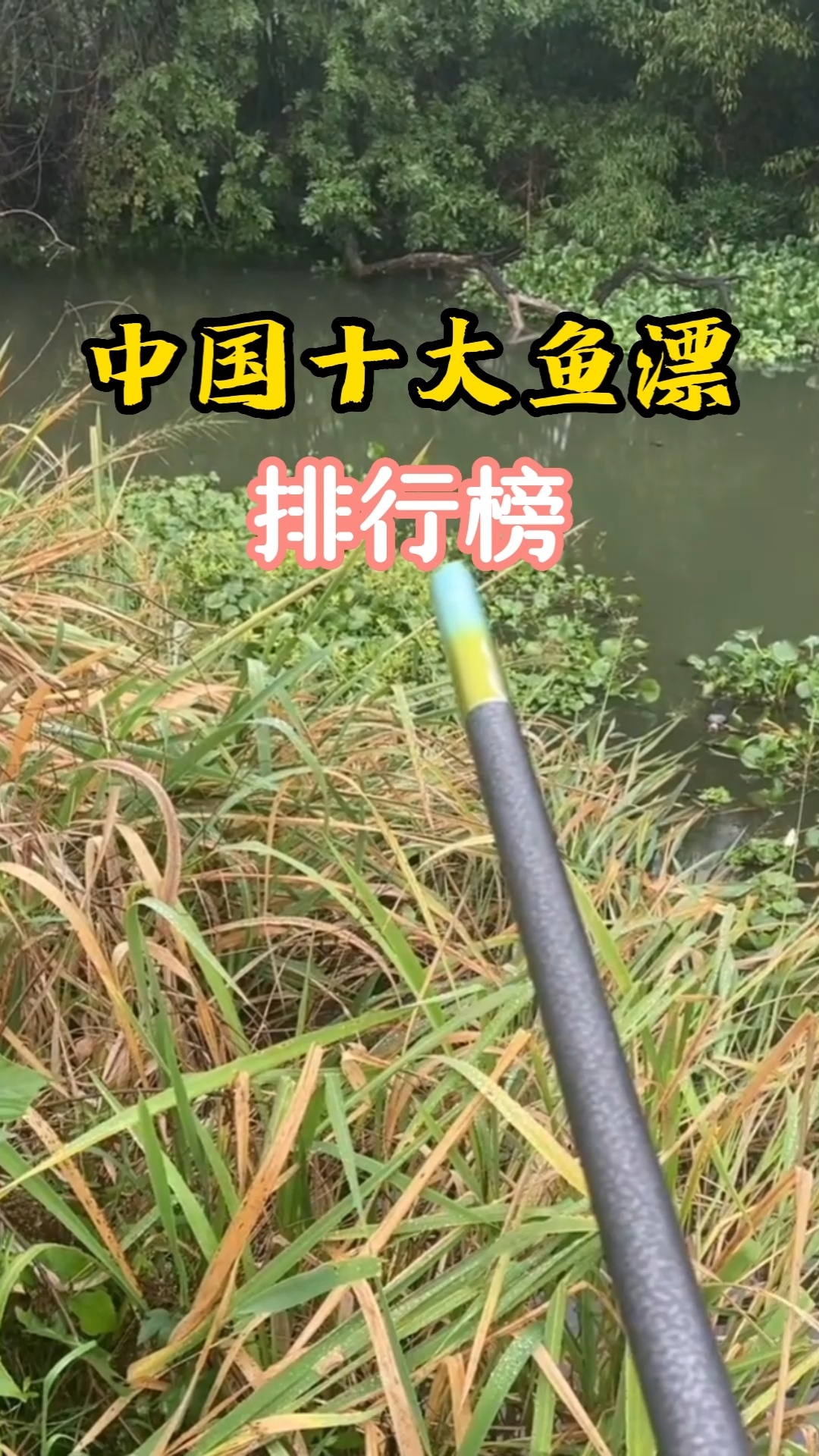 中国鱼漂排行榜