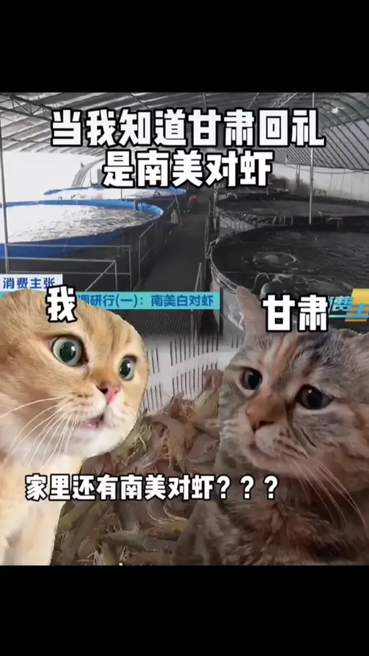 南美白对虾 我吃过,和土豆一个味,绵软好吃