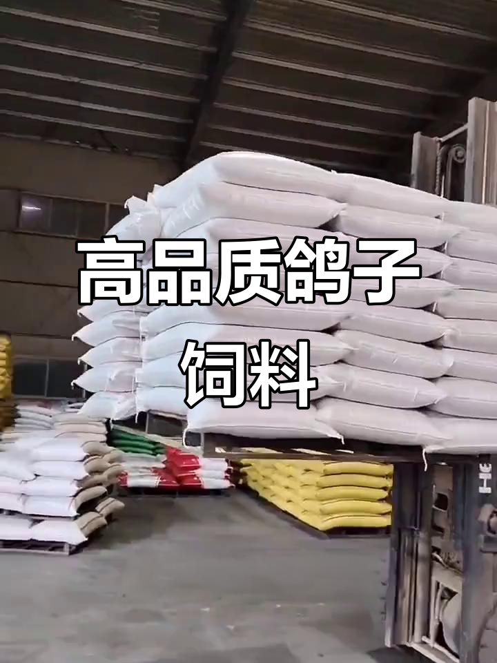 河南鸽百慧肉鸽饲料,营养丰富助力鸽子快速增肥