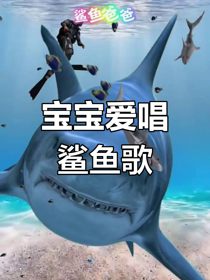 鲨鱼宝宝儿歌启蒙
