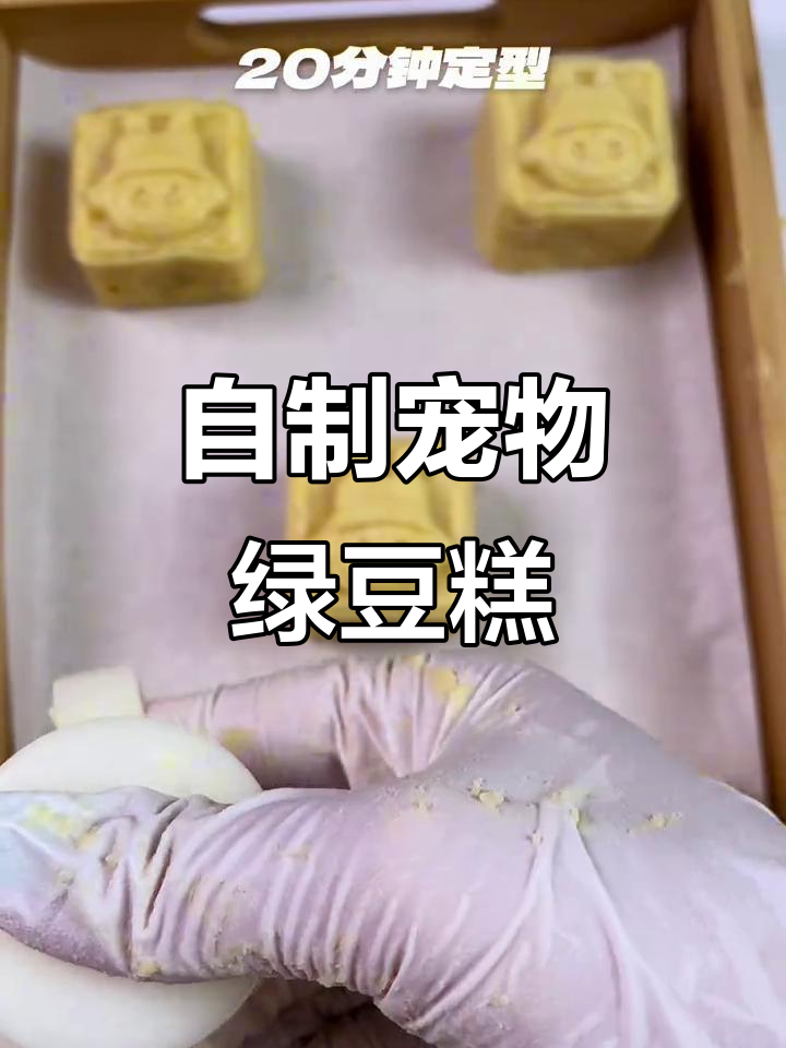 夏日清凉绿豆糕,狗狗专属解暑小零食