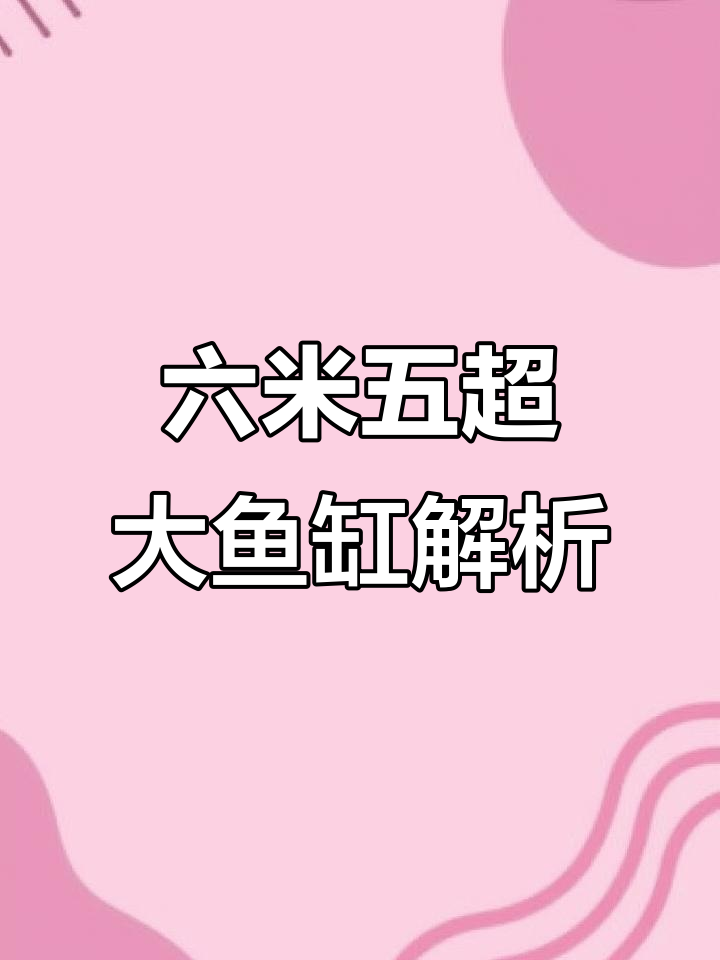 宝钻鱼缸:六米五超白混氧缸,低流过滤系统揭秘