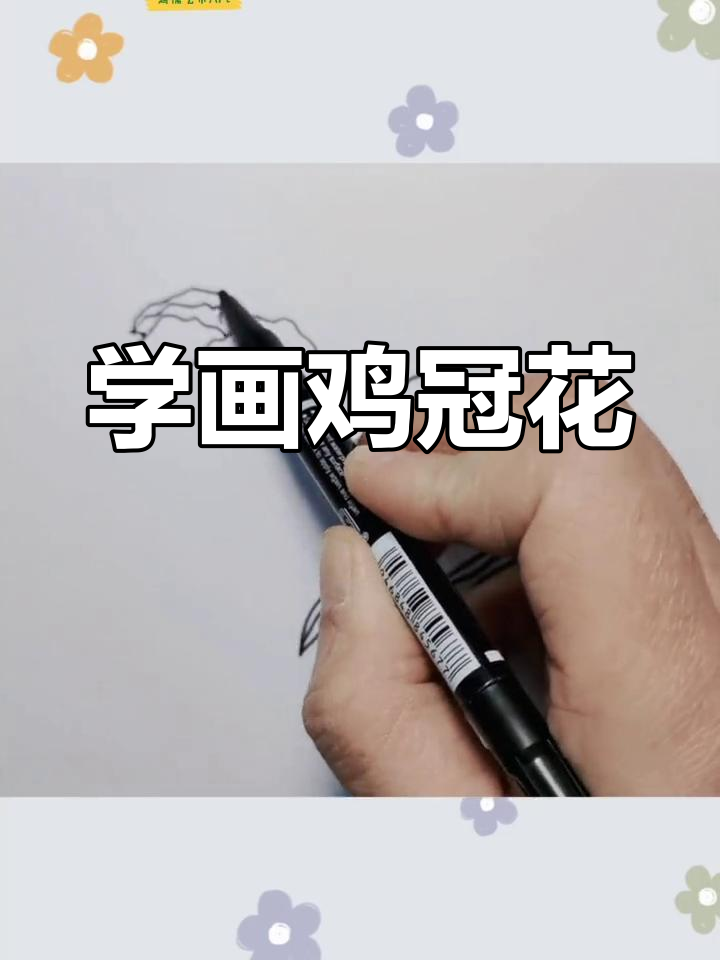 鸡冠花简笔画教程,轻松学画