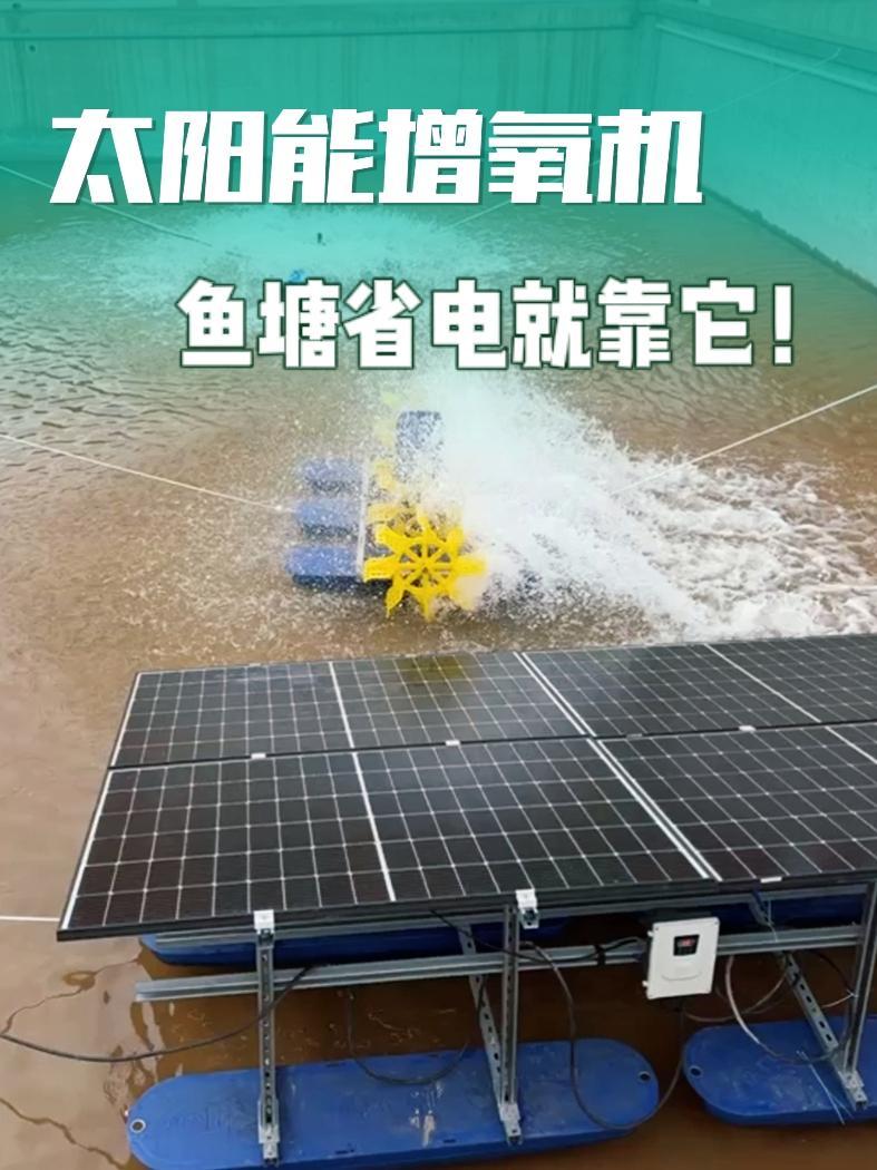 太阳能增氧机,鱼塘省电的一把好手!科学高光故事集 水产养殖 鱼塘 鱼塘增氧机 太阳能