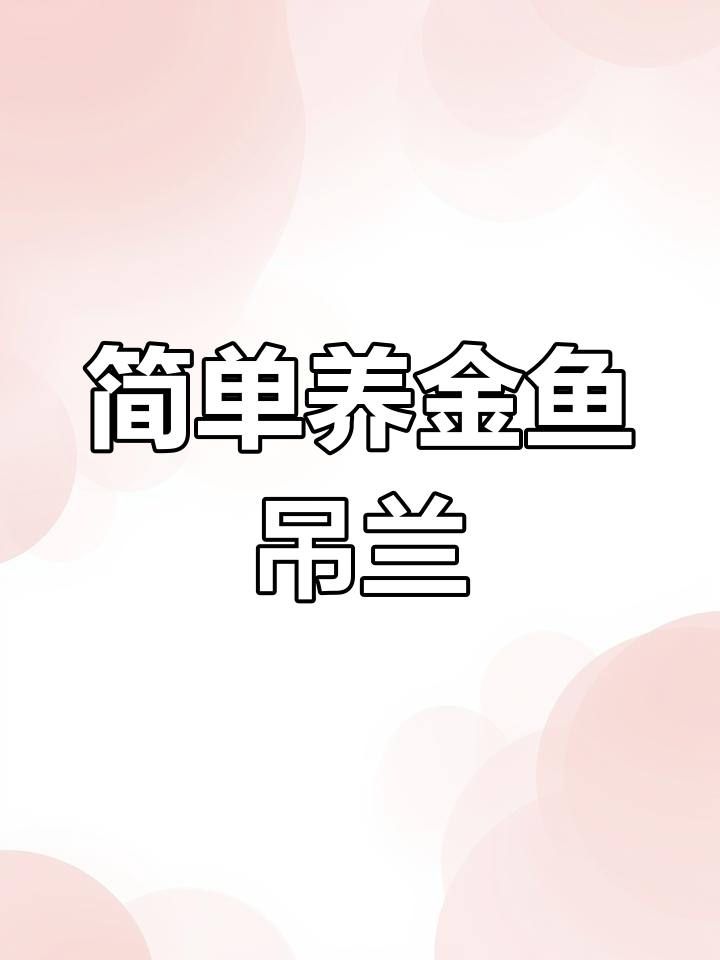 金鱼吊兰养护全攻略:轻松掌握水光管理,打造可爱小金鱼造型