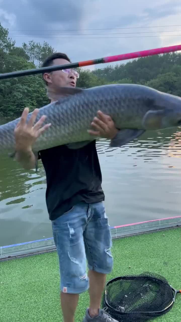 面对滑口青鱼,拖底钓法你们了解吗?