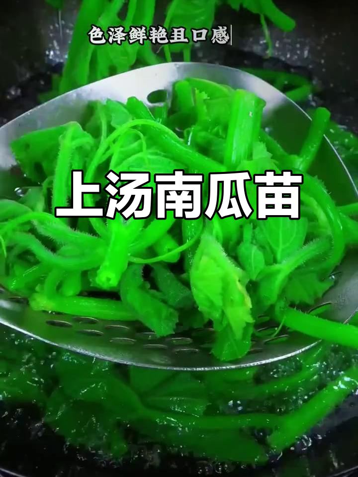 南瓜藤脆嫩汤,猪油高汤配皮蛋肉丝,鲜美又营养