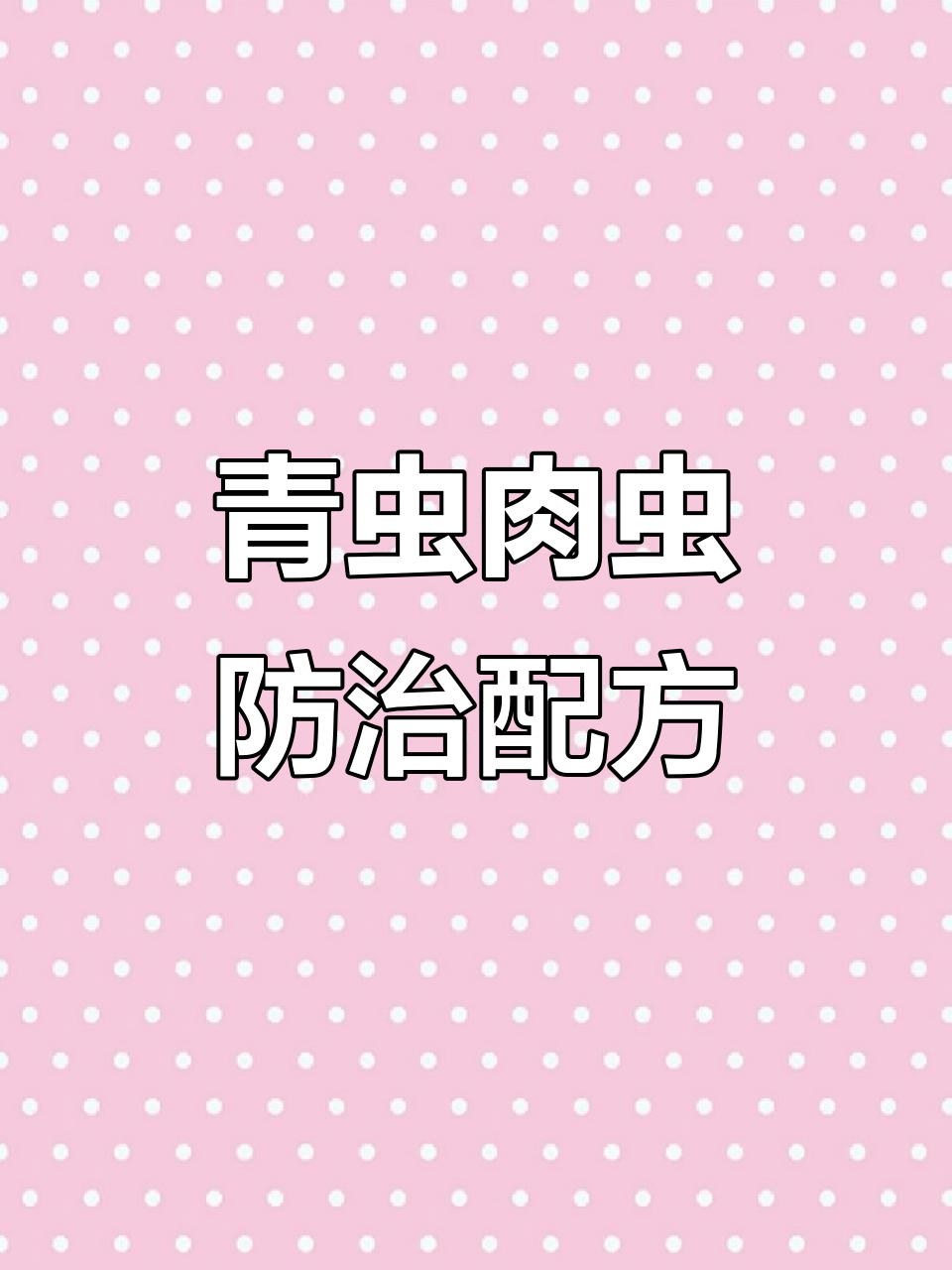青虫肉虫全生长阶段防杀技巧,轻松应对不同时期的害虫问题