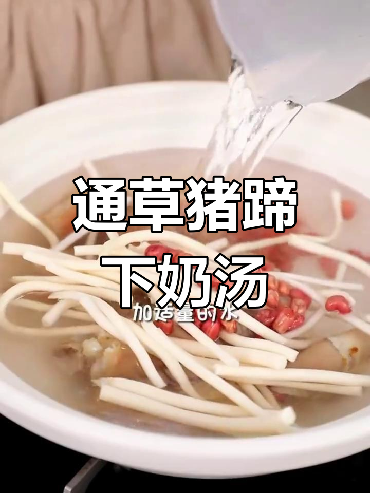 产后催乳必备猪蹄通草汤
