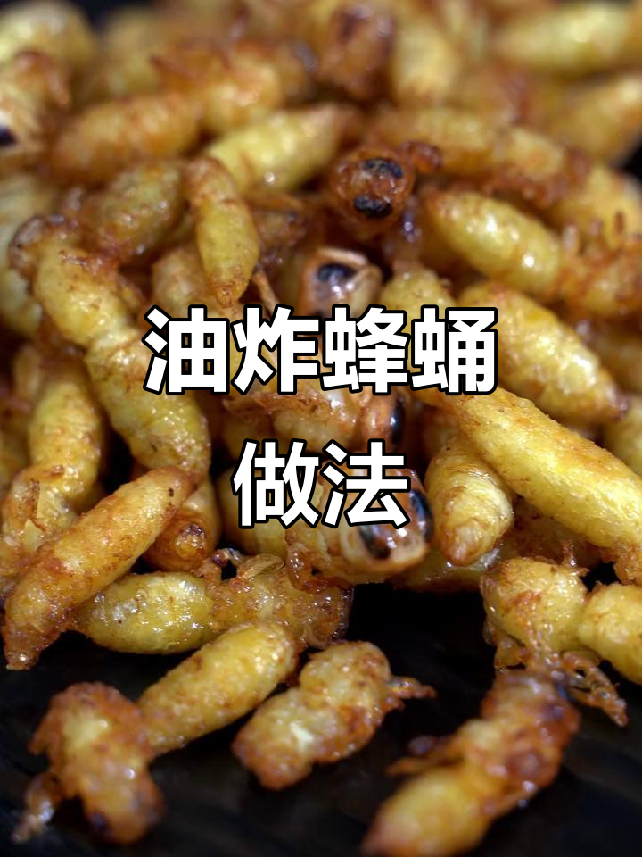 冬季必吃油炸蜂蛹,简单又美味