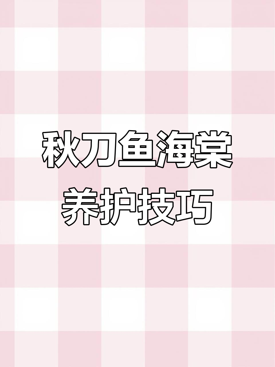 秋刀鱼海棠养护心得:如何避免叶片掉落,让它更健康