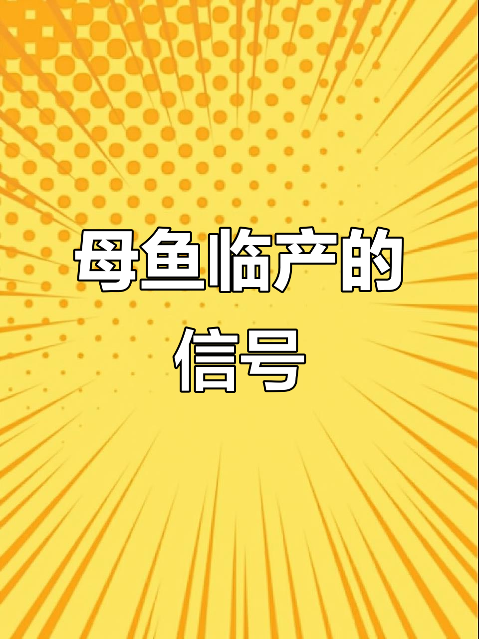 母鱼临产前的征兆,肛门发白、窜动频繁