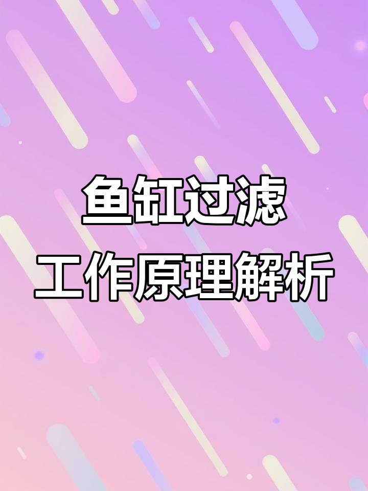 鱼缸过滤原理揭秘:水是如何被净化的?
