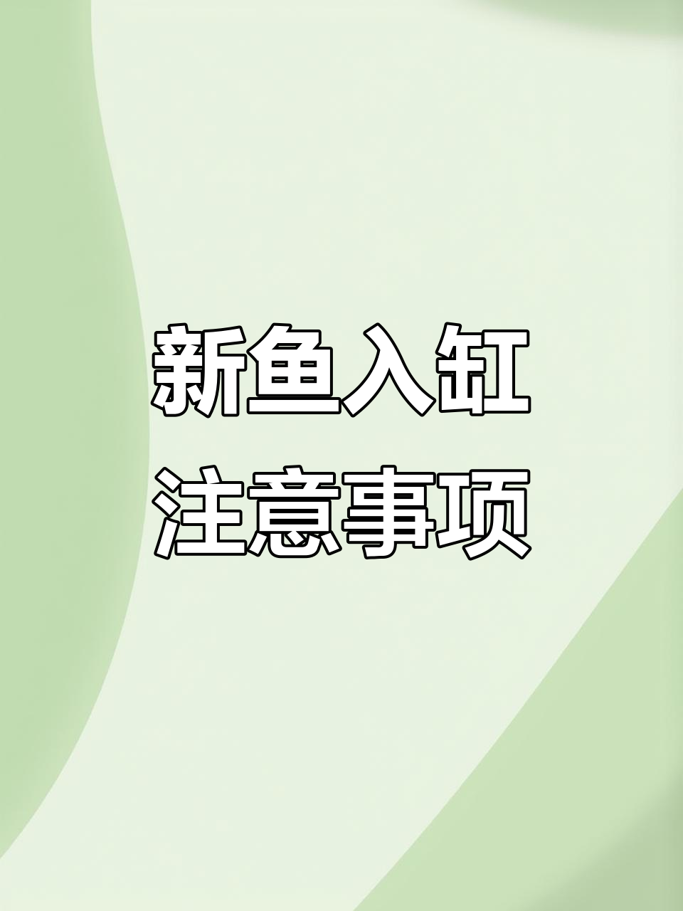福州蓝瘦鱼入缸,恢复状态全攻略