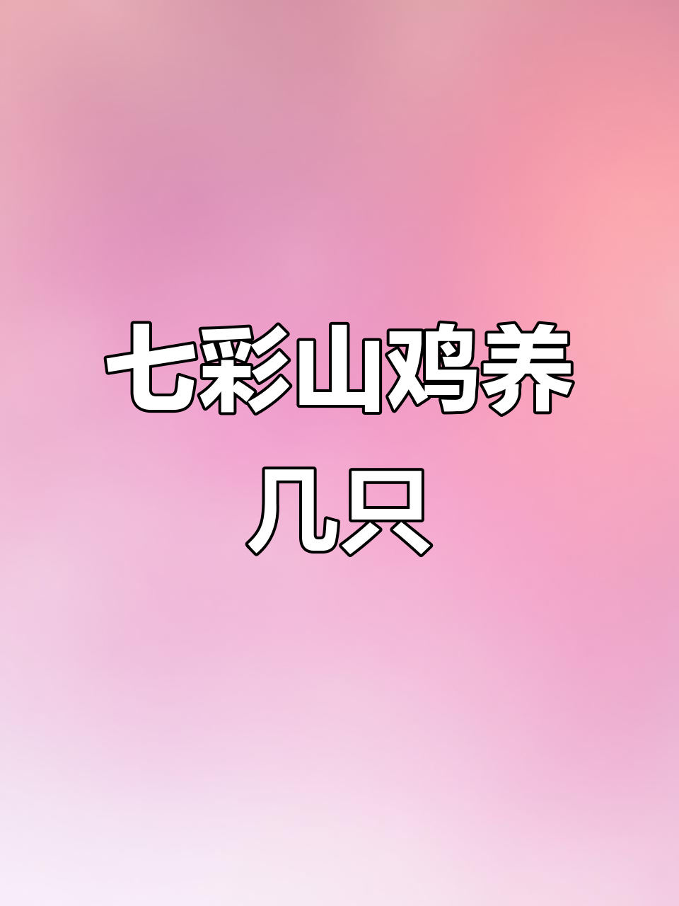 七彩山鸡养殖:宠物与美食两不误,肉质鲜美