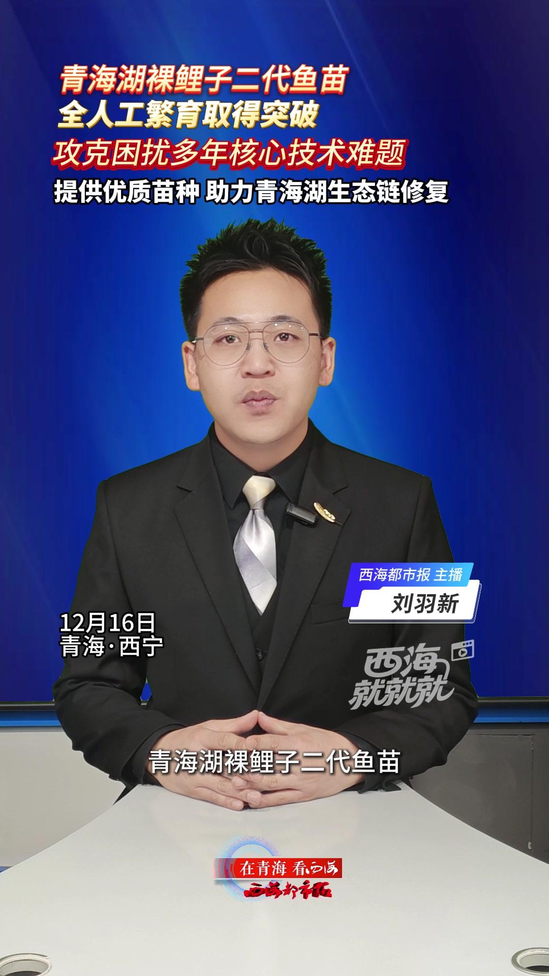 青海湖裸鲤子二代鱼苗全人工繁育取得突破攻克困扰多年核心技术难题提供优质苗种助力青海湖生态链