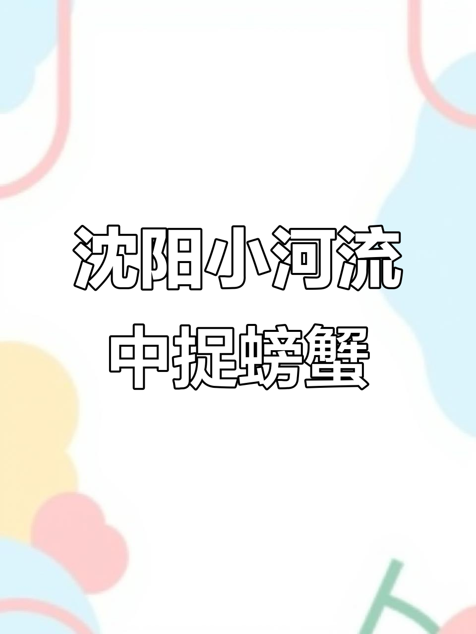 沈阳七星湿地抓鱼捡河蚌，野生水鸟惊现铁网下