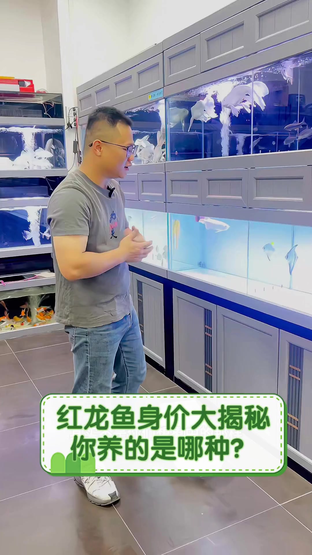 红龙鱼身价大揭秘,你养的是哪种?