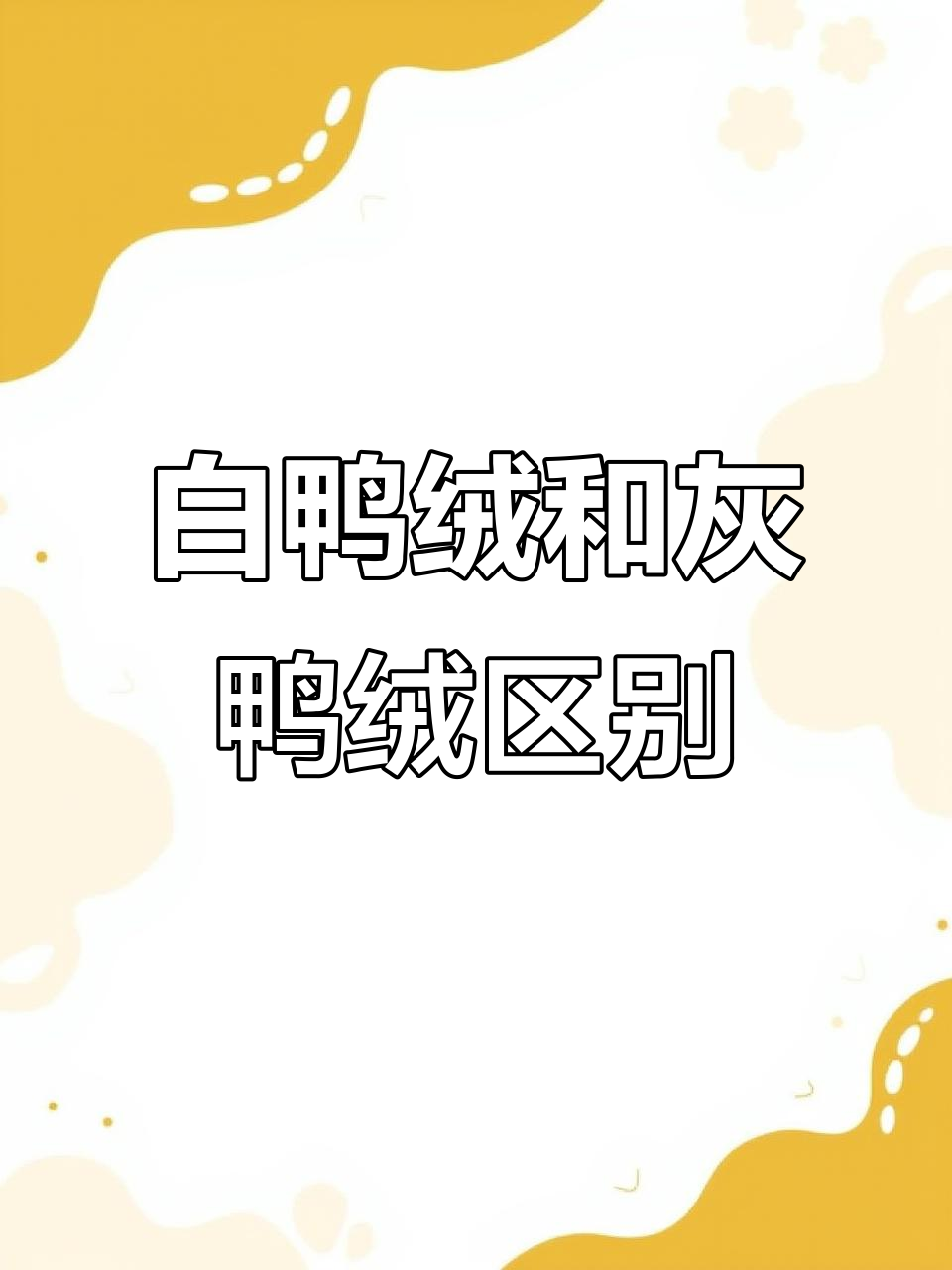 灰鸭绒与白鸭绒的差别，你了解吗？
