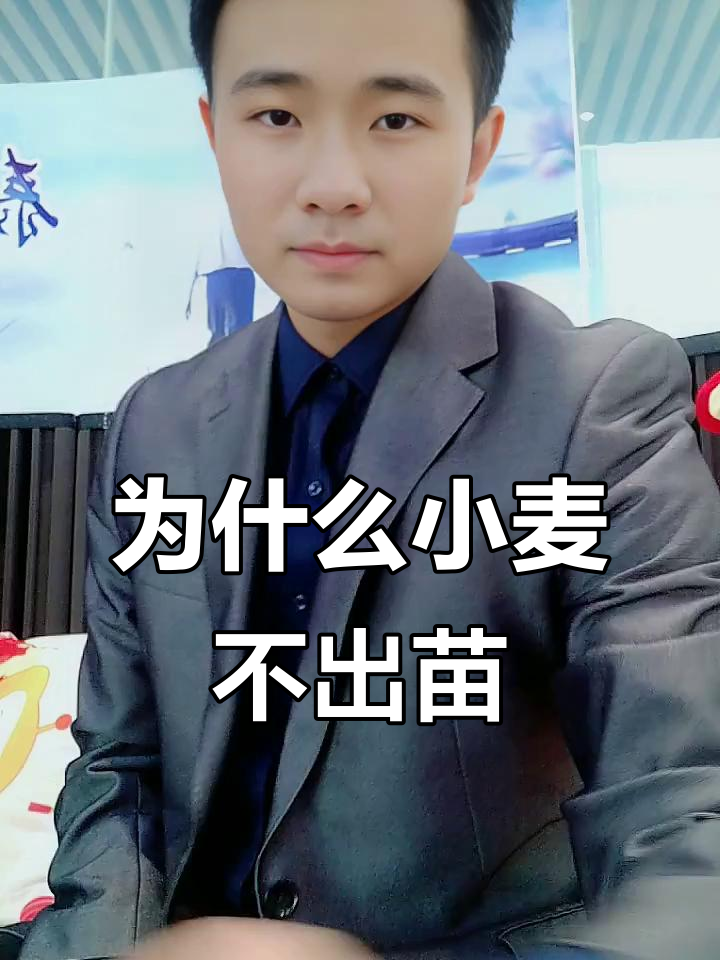 小麦播种晚,出苗时间也推迟?了解原因和应对方法