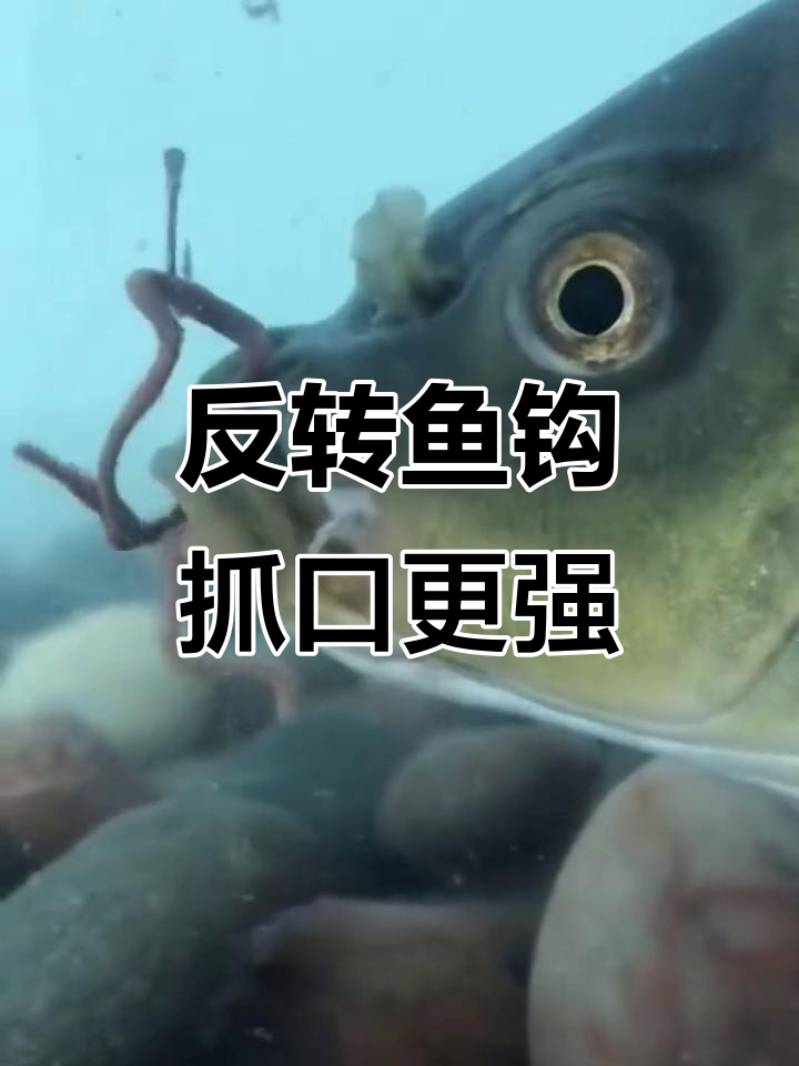 自动翻转鱼钩揭秘:如何让钓鱼更轻松
