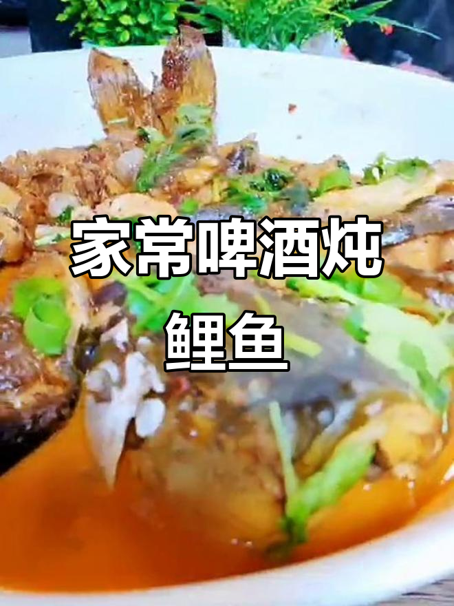 啤酒炖鲤鱼,家常做法不煎炸,鲜嫩入味超下饭