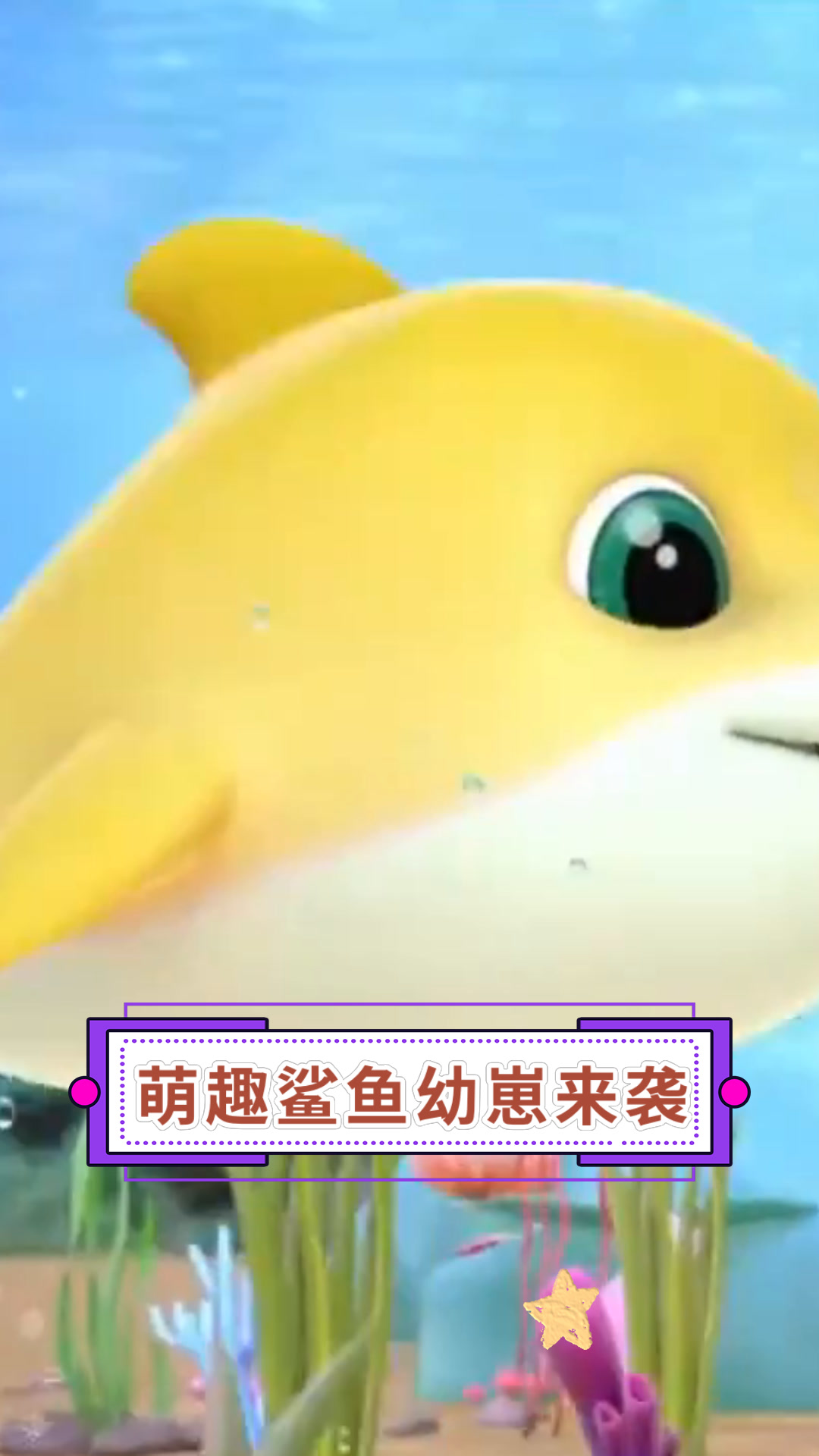 萌趣鲨鱼幼崽来袭
