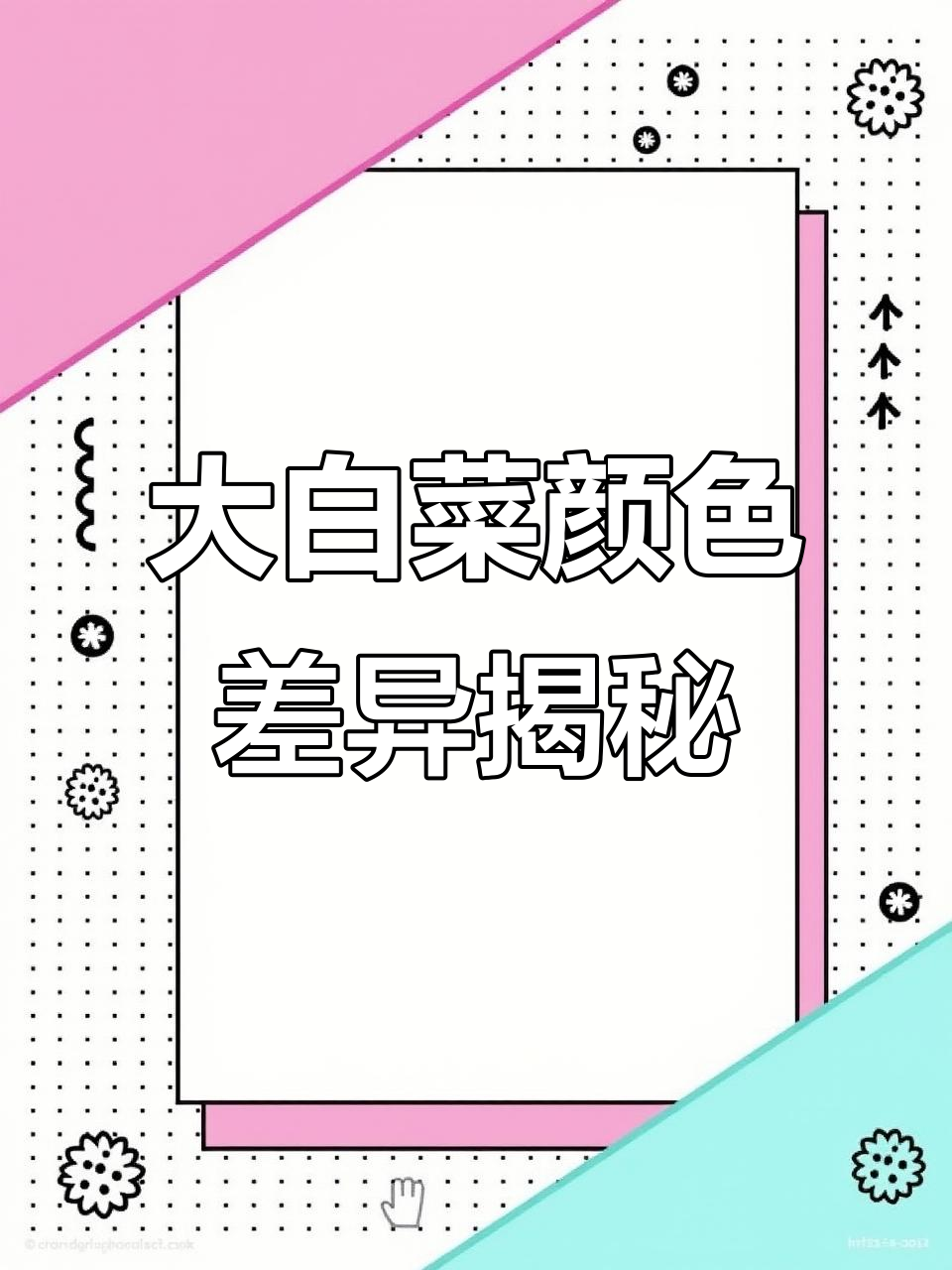 这两颗大白菜,颜色不同到底有啥区别?