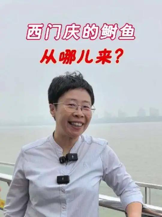 西门庆的鲥鱼从哪儿来
