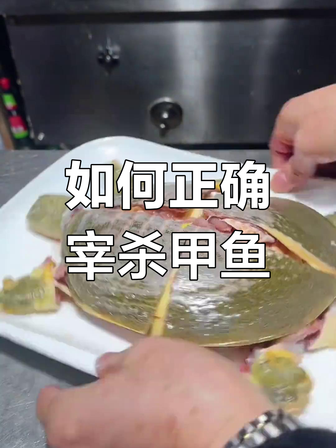 甲鱼宰杀技巧大揭秘,30年老师傅教你如何处理