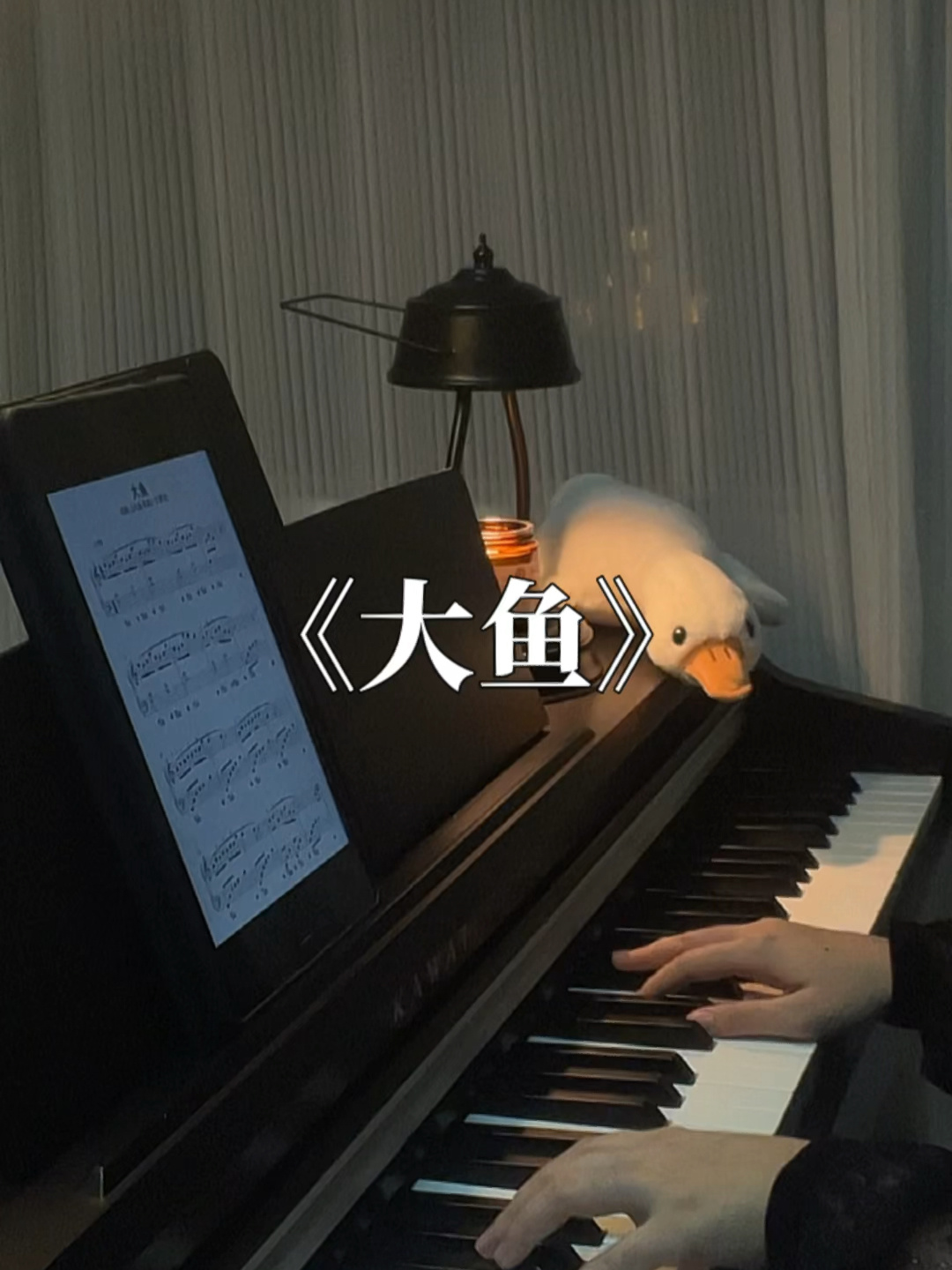 我要上春晚|大鱼海棠-《大鱼》钢琴版