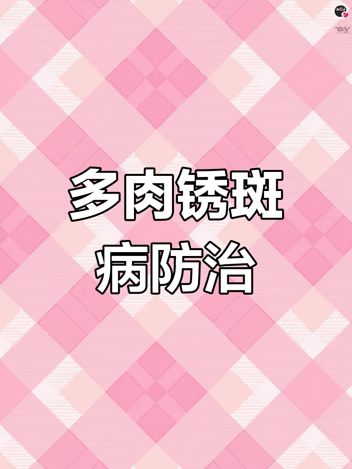 锈斑病如何防治?多肉植物养护技巧大公开