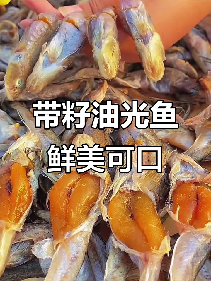 渤海湾带籽油光鱼,鲜香十足,1斤到3斤任你选