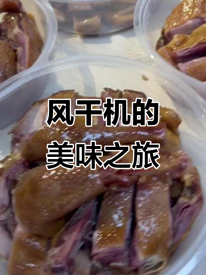 妈妈的风干机,猪头肉和咸鹅都等着尝!