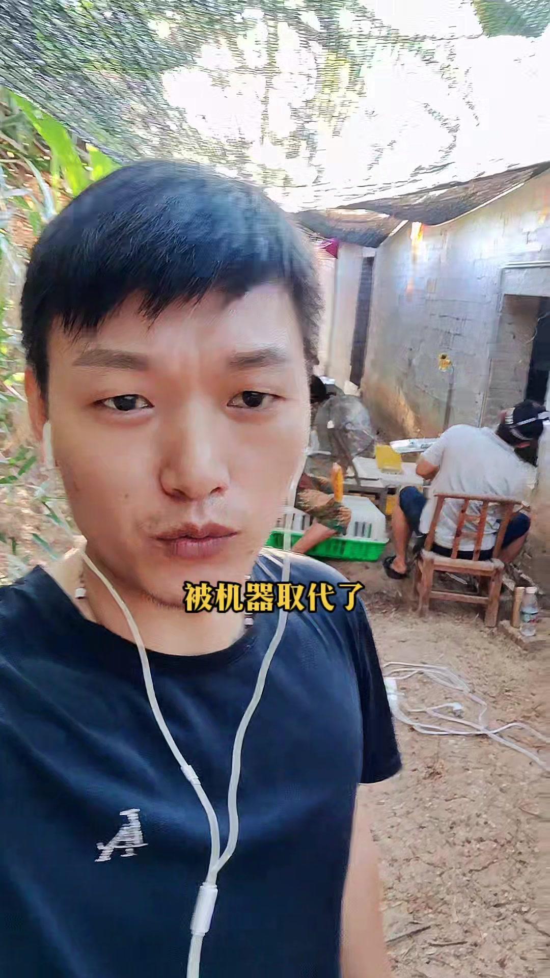 药物的阉鸡方法,下个视频告诉你 记录真实生活 我的乡村生活 乡村守护人