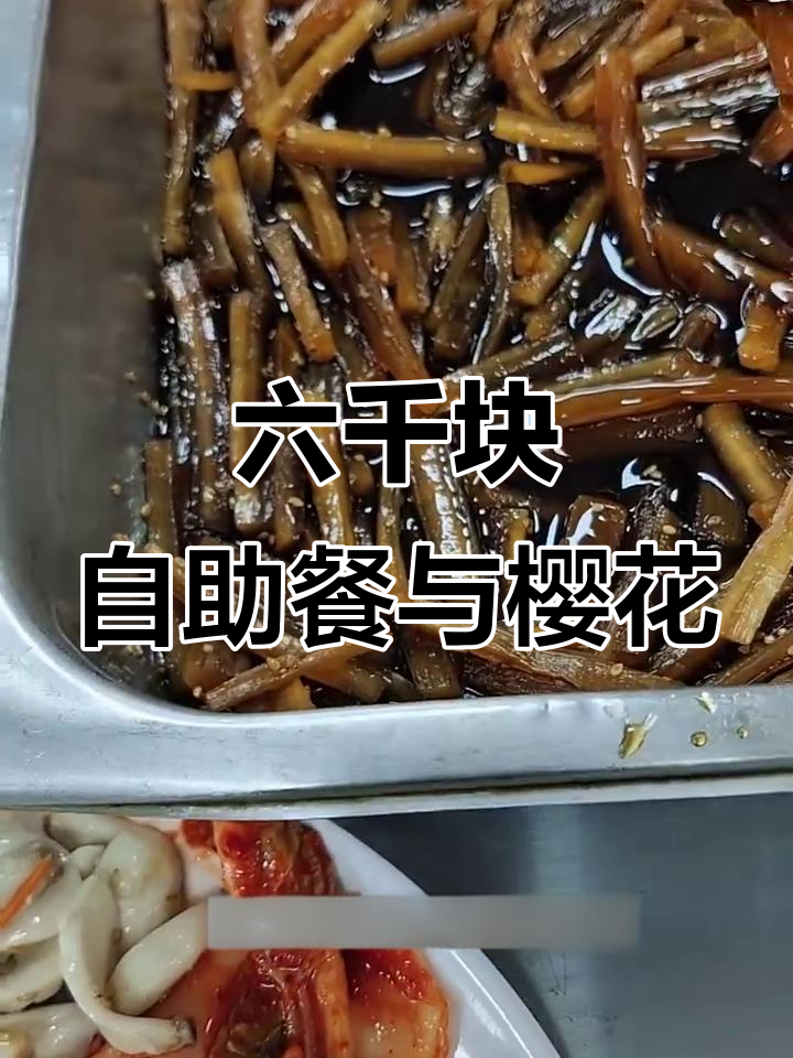 韩国大学食堂自助午餐,樱花盛开拍照打卡必试美食