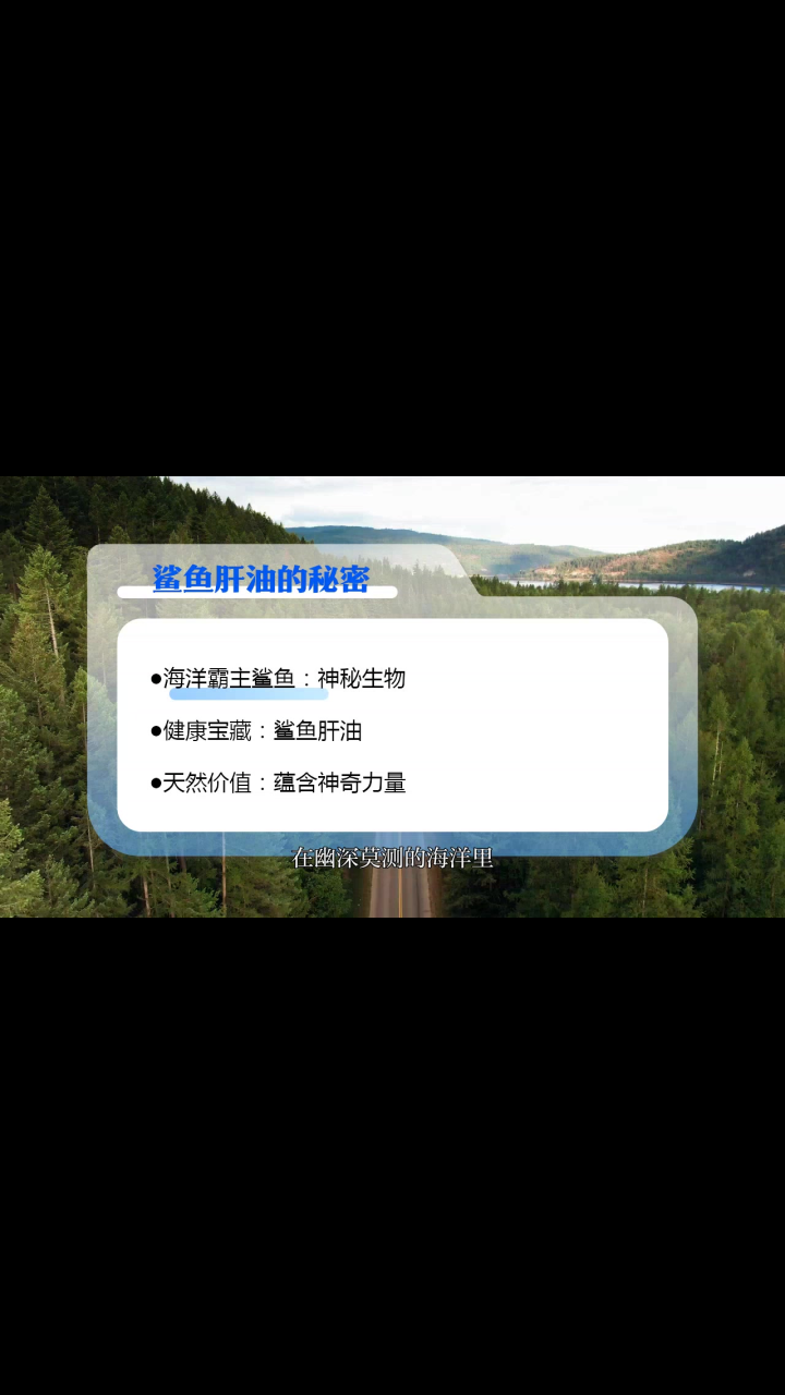 深海馈赠:鲨鱼肝油的秘密