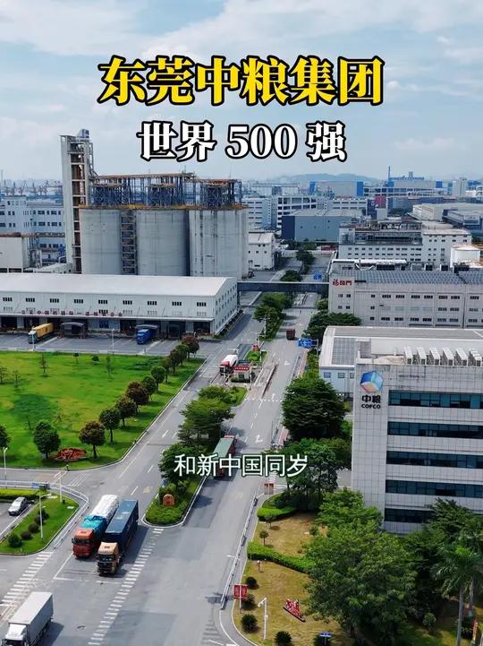 有这么一家大型央企,和新中国同岁,还是世界500强中唯一的粮油企业,它就是中粮集团。其总资