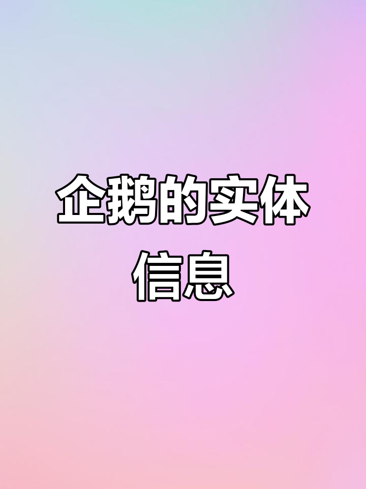 企鹅实体档案揭秘:身高、攻击力与中立等级
