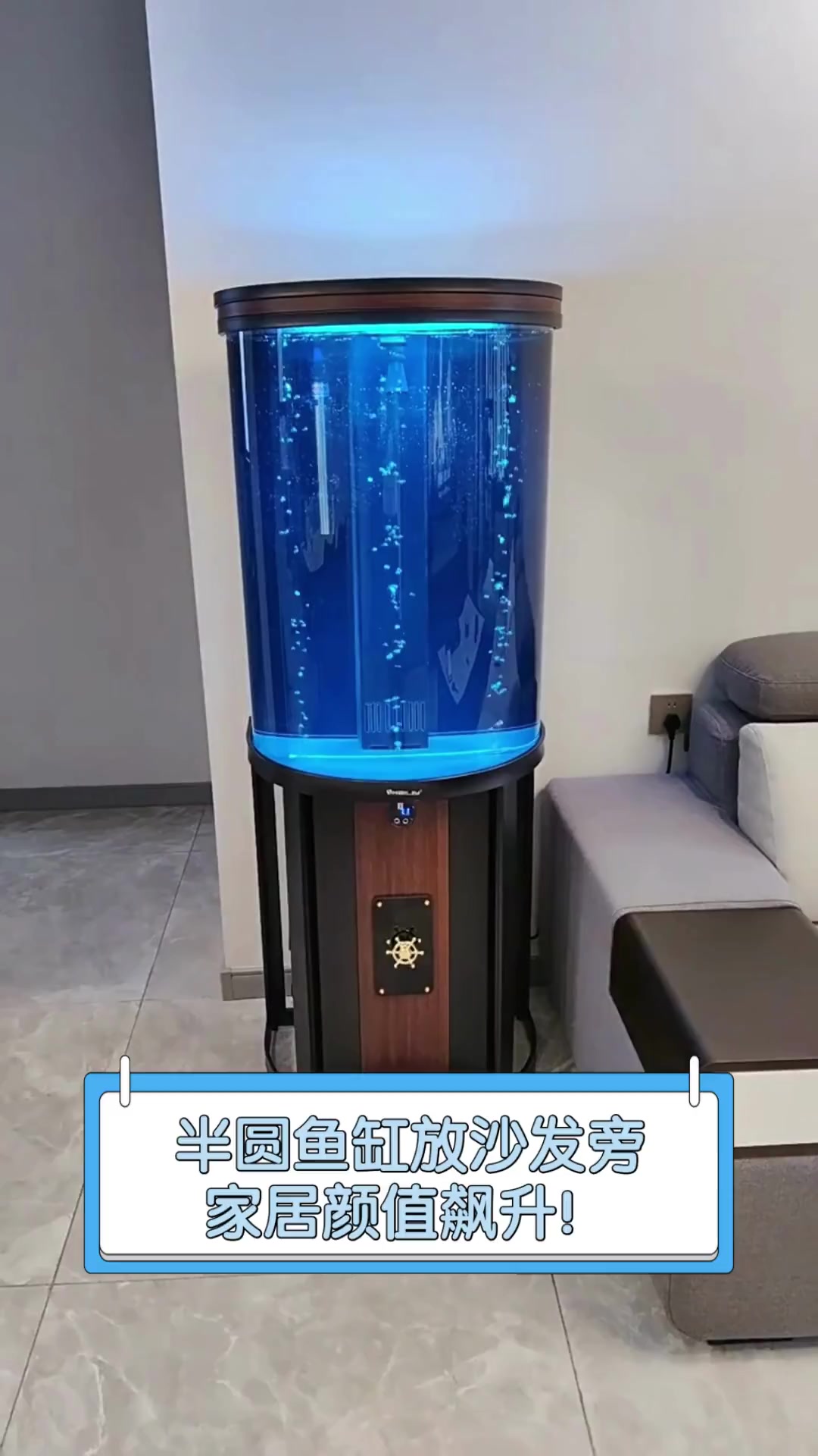 半圆鱼缸放沙发旁,家居颜值飙升!
